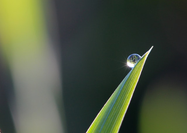 Droplet